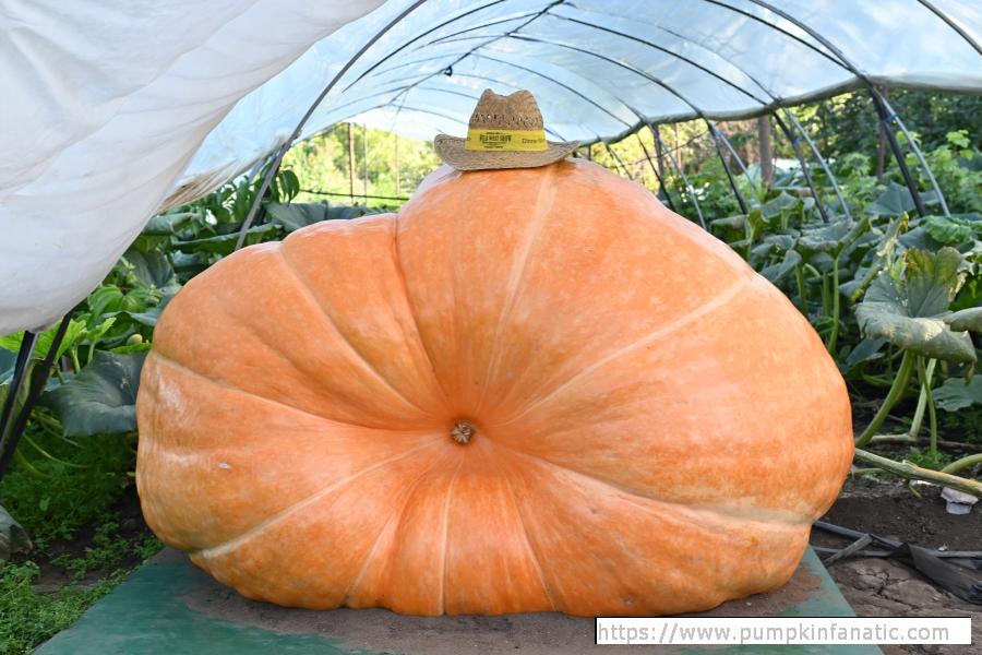 fruitImages/1112 Timiryanov 2025B.jpg